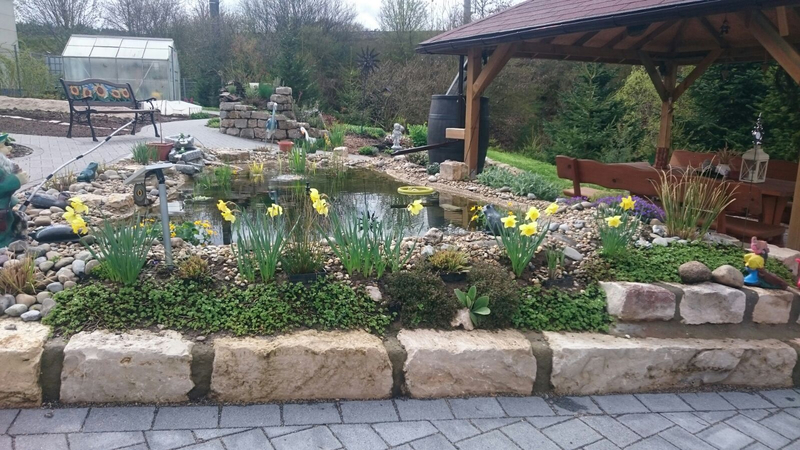 IMG-20160430-WA0008_1934_5b3bfe95663